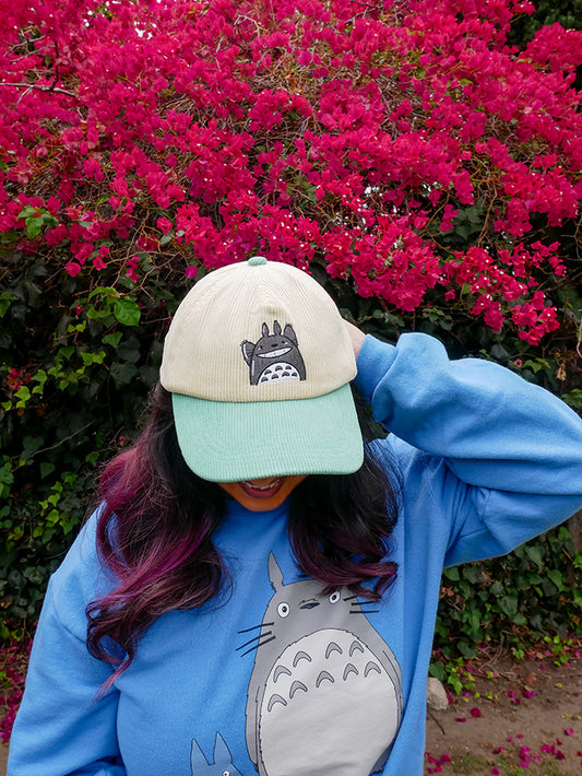 Totoro Hat